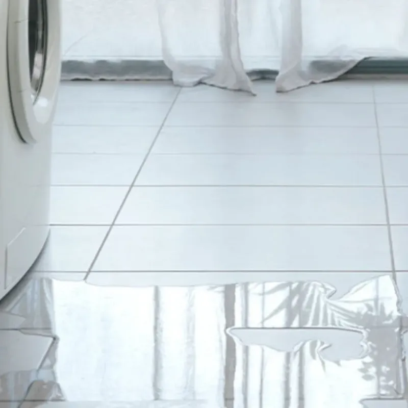 Appliance Leak Cleanup in Caliente, NV