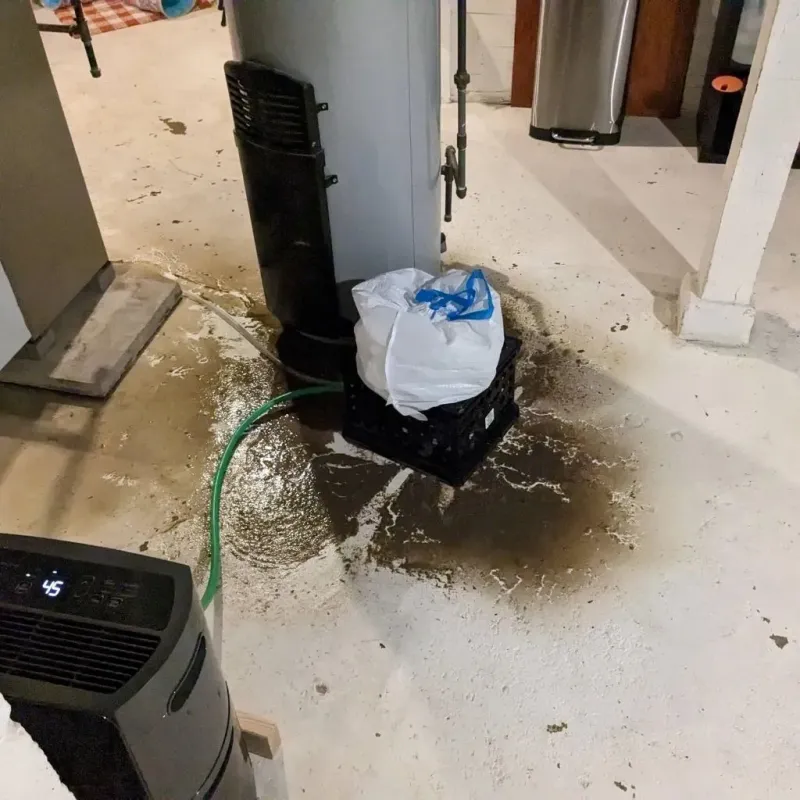 Sewage Backup Cleanup Service in Caliente, NV